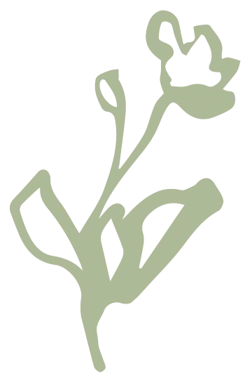sketch-color-07.png