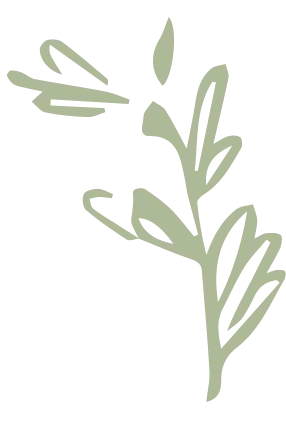 sketch-color-12.png